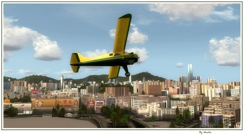 http://i217.photobucket.com/albums/cc229/drknock/FSX%202/Beaver155.jpg