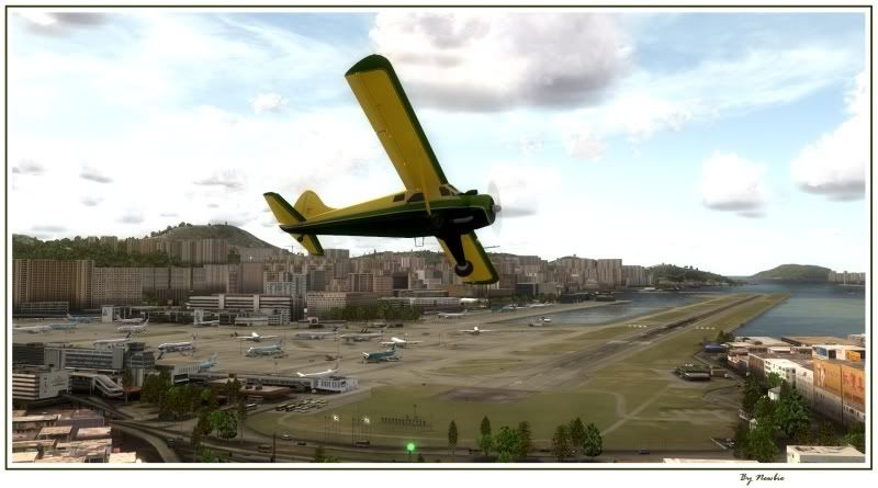 http://i217.photobucket.com/albums/cc229/drknock/FSX%202/Beaver156.jpg