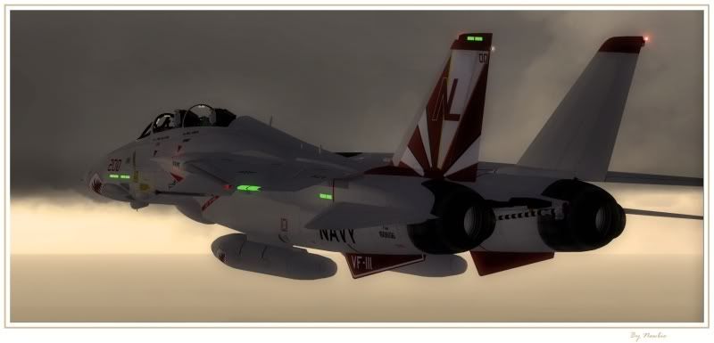 F1438.jpg