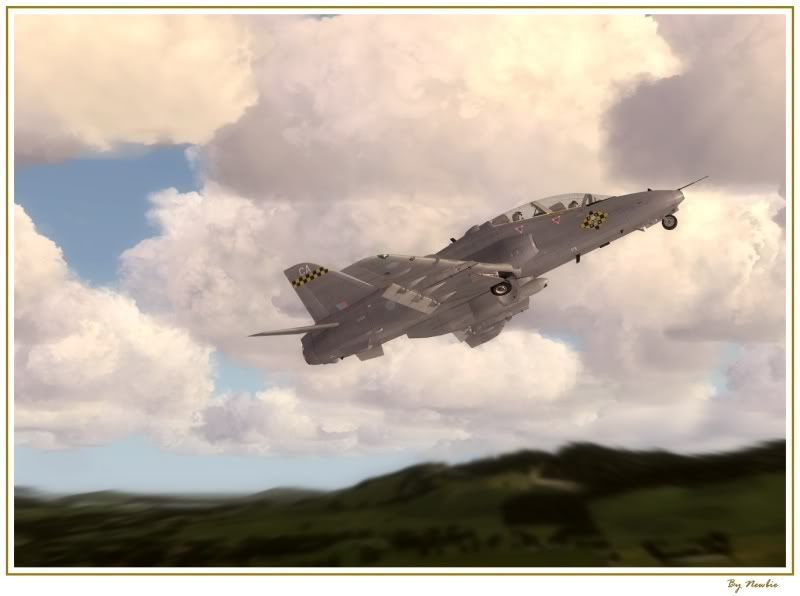 Hawk14.jpg