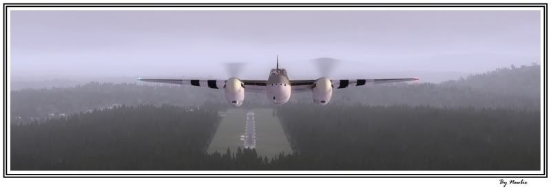 Mosquito1.jpg