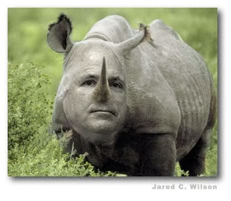 RINO Pictures, Images and Photos