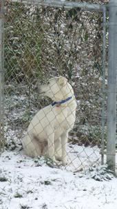 Emersyn in the snow