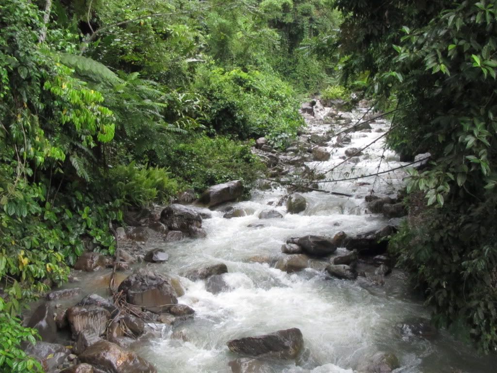 4. Canopy Walkway 5D4N MF 5D 4N Sabah Geography, Art and Culture