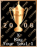X Ray's UK Copper Award