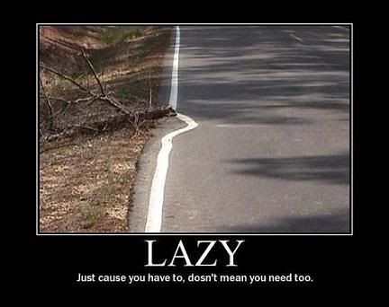 lazy-011509.jpg