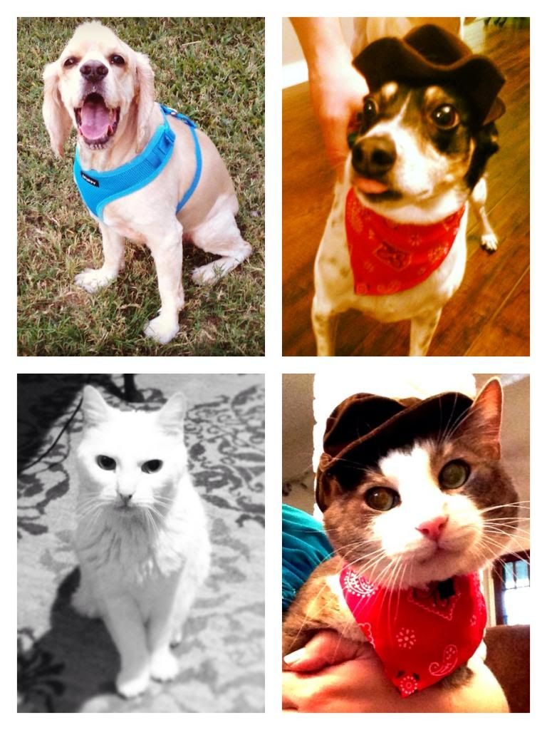 photo photo60_zps4f4b7045.jpg