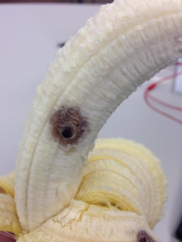 photo photo62_zpscc611eb2.jpg