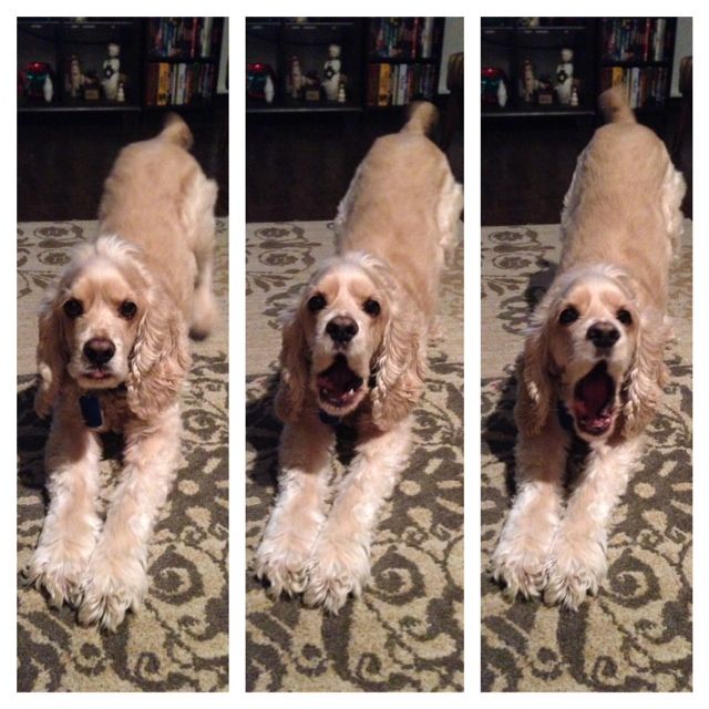 photo photo7_zps718325c8.jpg