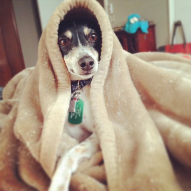 photo photo8_zps6656addb.jpg