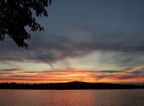 108410049_7354f18bc1.jpg image by tk88_2007