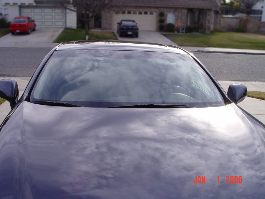 DSC00201.jpg