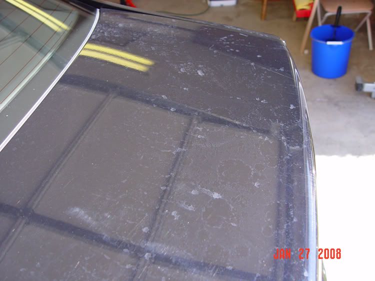 DSC00311.jpg