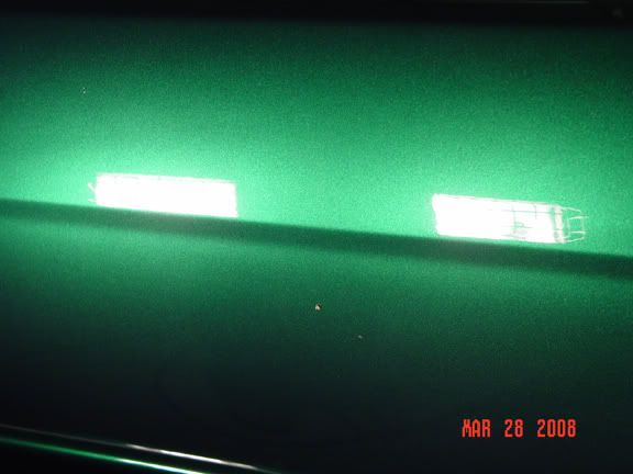 DSC00526.jpg