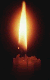 candle Pictures, Images and Photos
