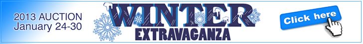 2013 Winter Extravaganza Auction