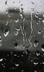 avatar20222.gif raindrops image by peacemealgarden