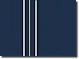 Squadron leader Squadron leader