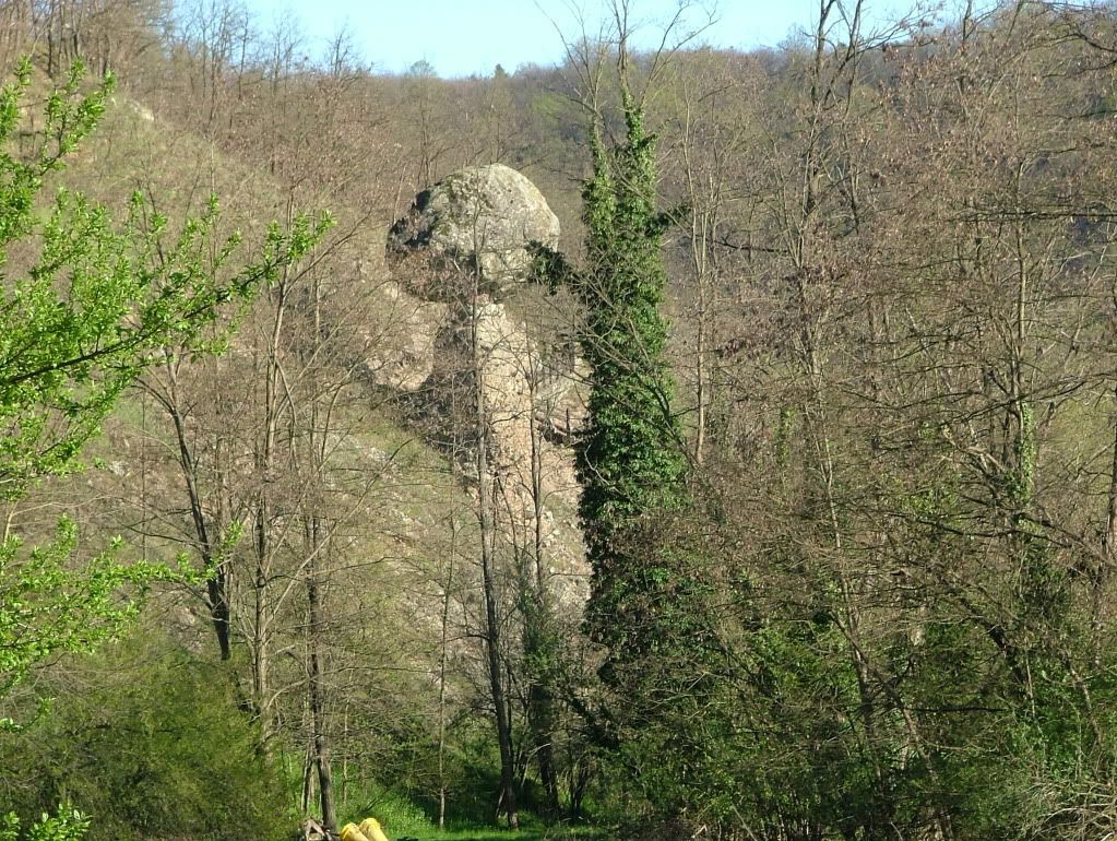 DSCF0406.jpg