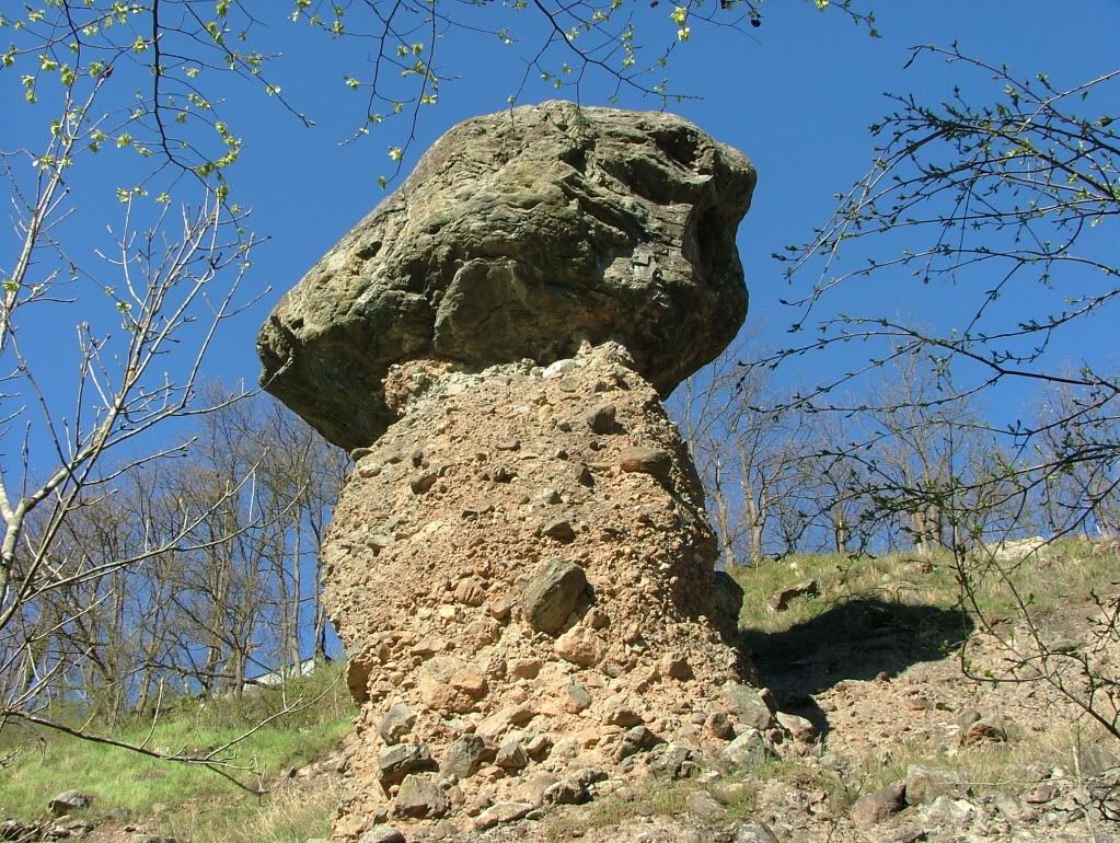 DSCF0409.jpg
