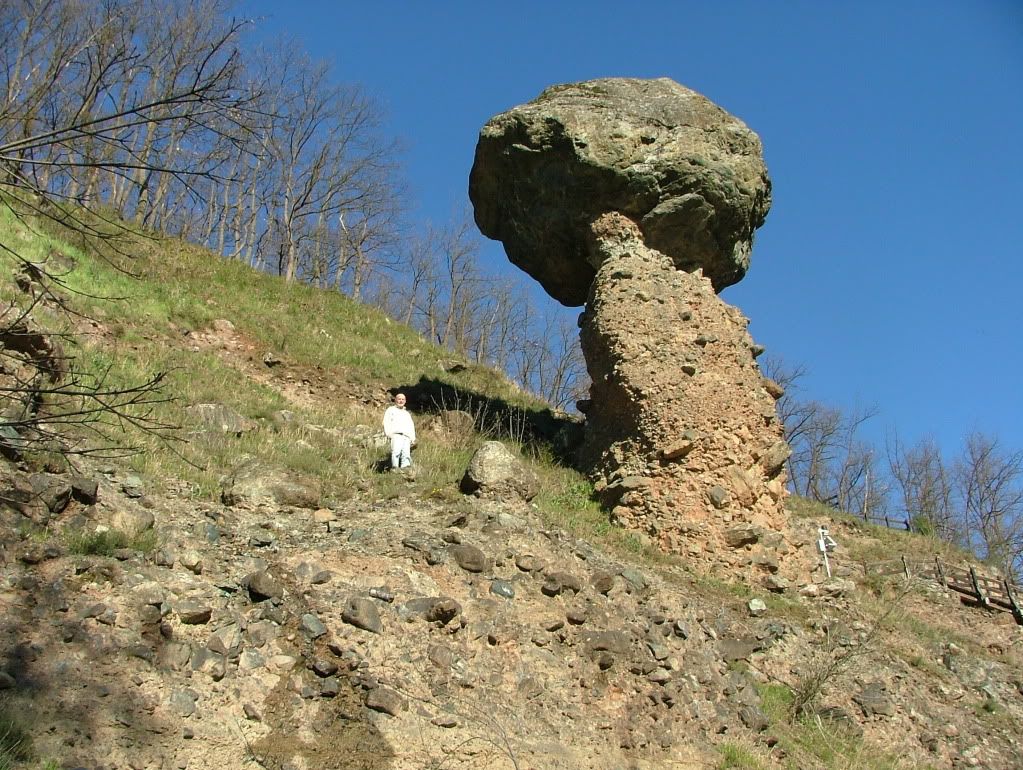 DSCF0413.jpg