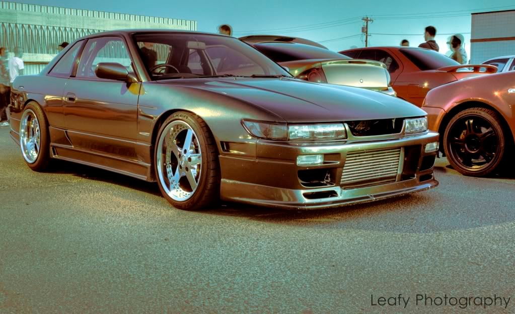 IMAGE: http://i217.photobucket.com/albums/cc294/Leafy3/780%20pictures/019And2more3.jpg