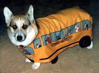 dog-costumes-010.jpg 10 image by howieyee