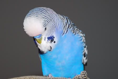 DSC_0001.jpg