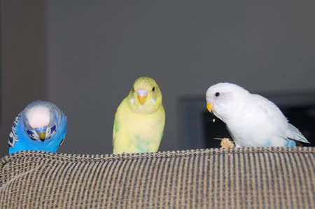 DSC_0050.jpg