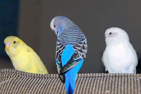 DSC_0080.jpg