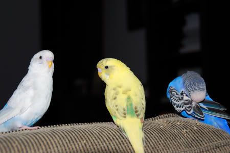 DSC_0098.jpg