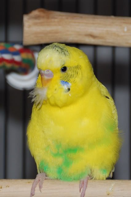 DSC_3108.jpg