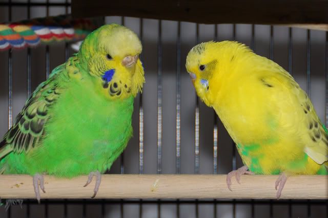 DSC_3133.jpg