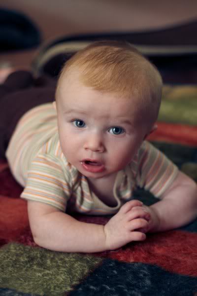 IMAGE: http://i217.photobucket.com/albums/cc298/LuvzDog89/IMG_0122.jpg