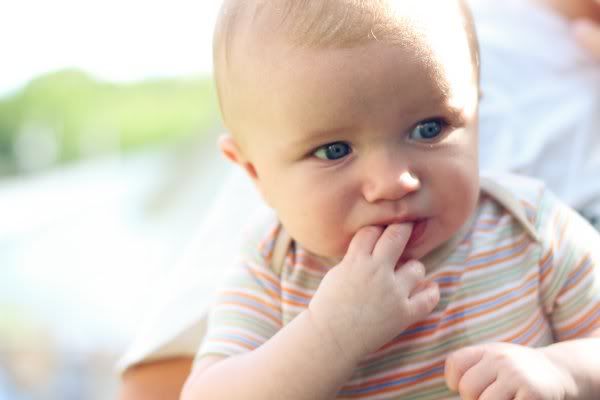 IMAGE: http://i217.photobucket.com/albums/cc298/LuvzDog89/IMG_0157.jpg