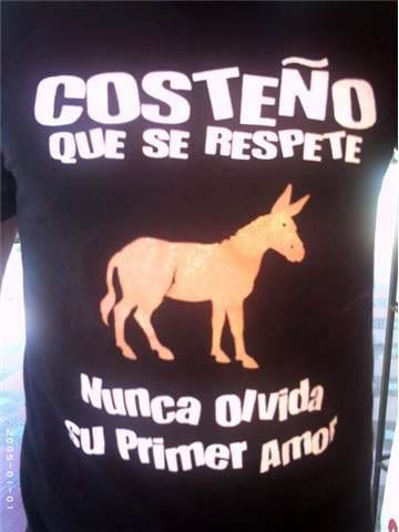 camiseta.jpg