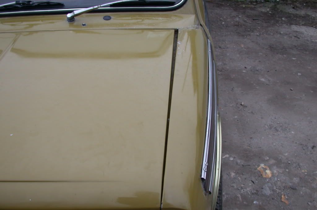 Posted Image