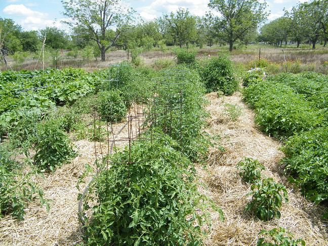 The 90% ers - Homesteading Questions