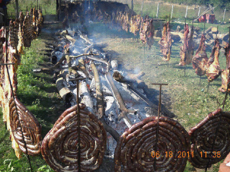 Do you like to BBQ or just cook outdoors? - Homesteading Questions