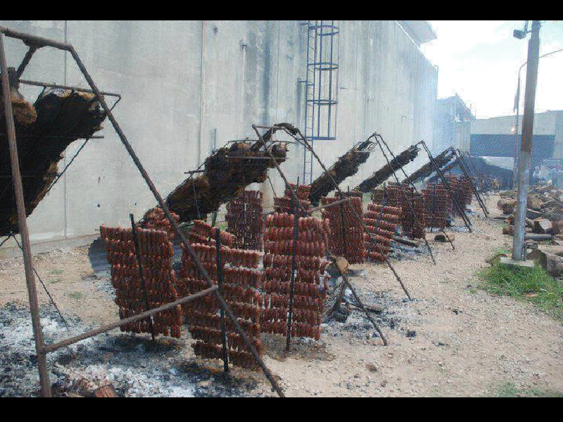 Do you like to BBQ or just cook outdoors? - Homesteading Questions