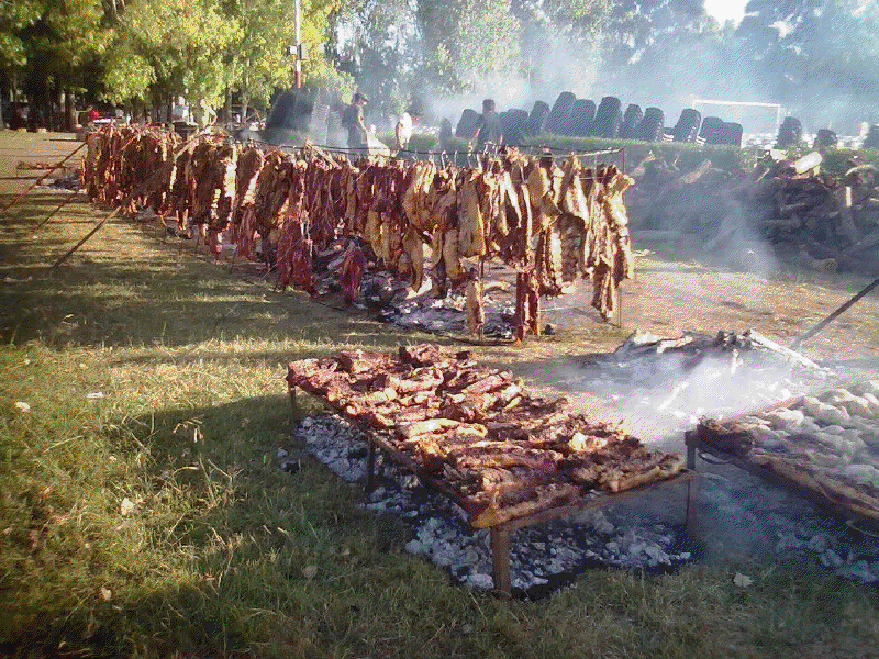 Do you like to BBQ or just cook outdoors? - Homesteading Questions