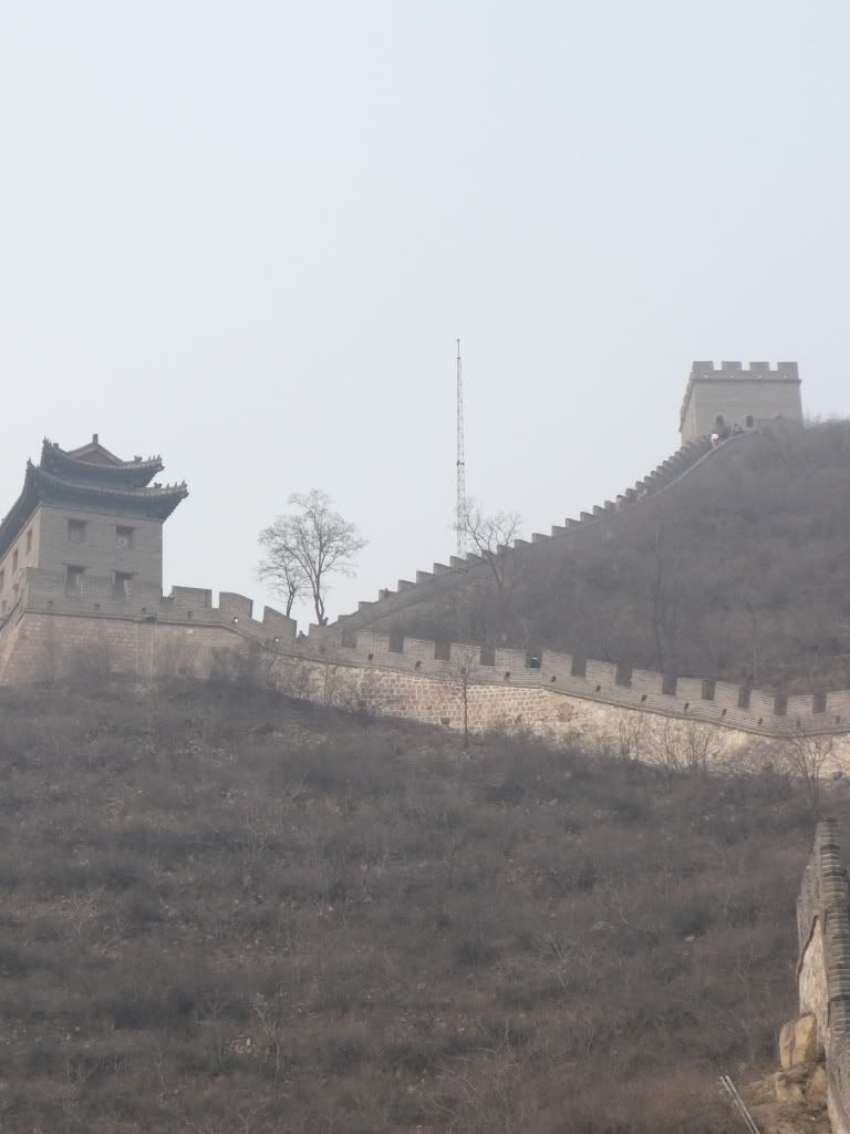 The great wall china:great-1111215