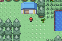 386FireRed_13.png