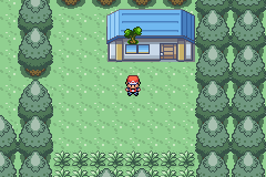 386FireRed_15.png