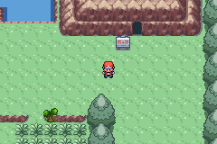 386FireRed_16.png
