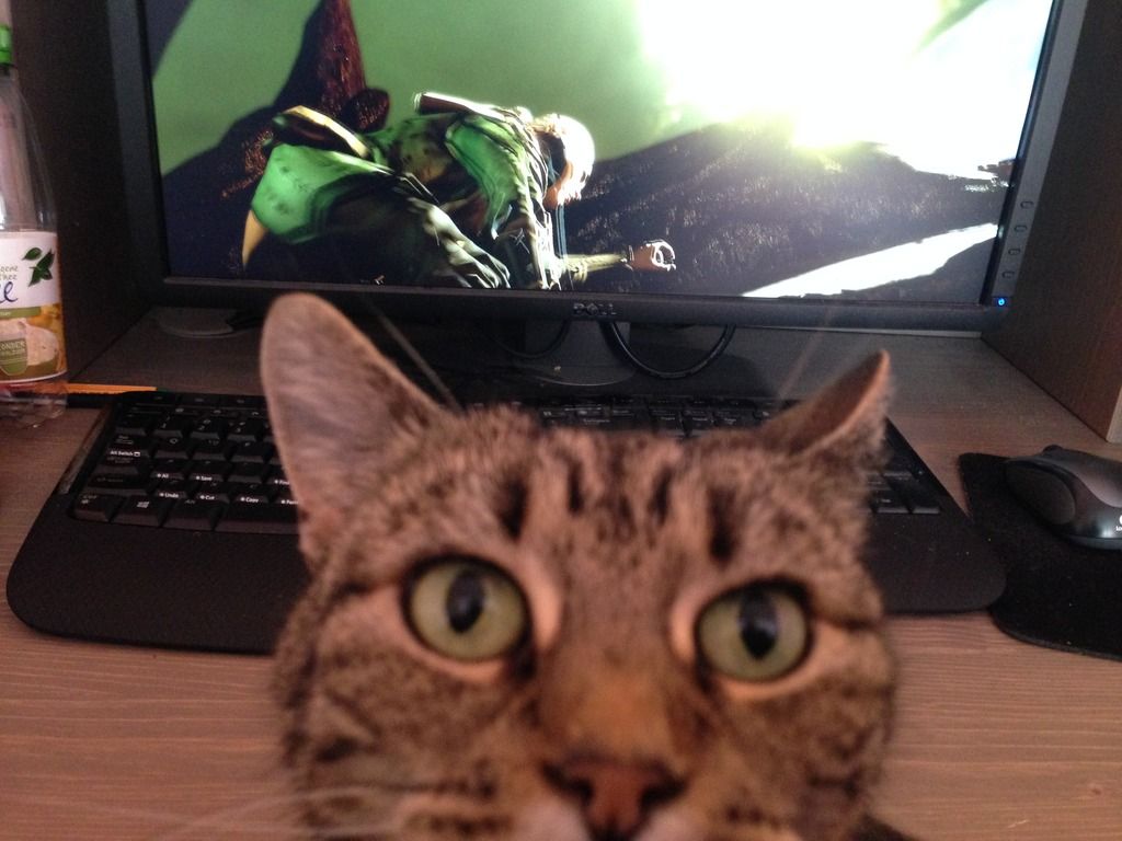 4CCBB773-3873-4C25-B149-A8FE951B0A17_zps