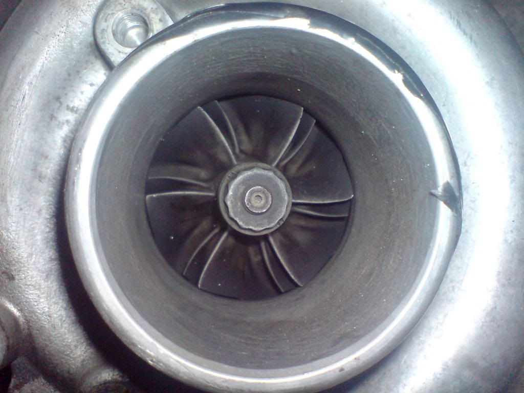 DSC00813.jpg