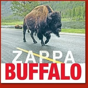 Buffalo.jpg