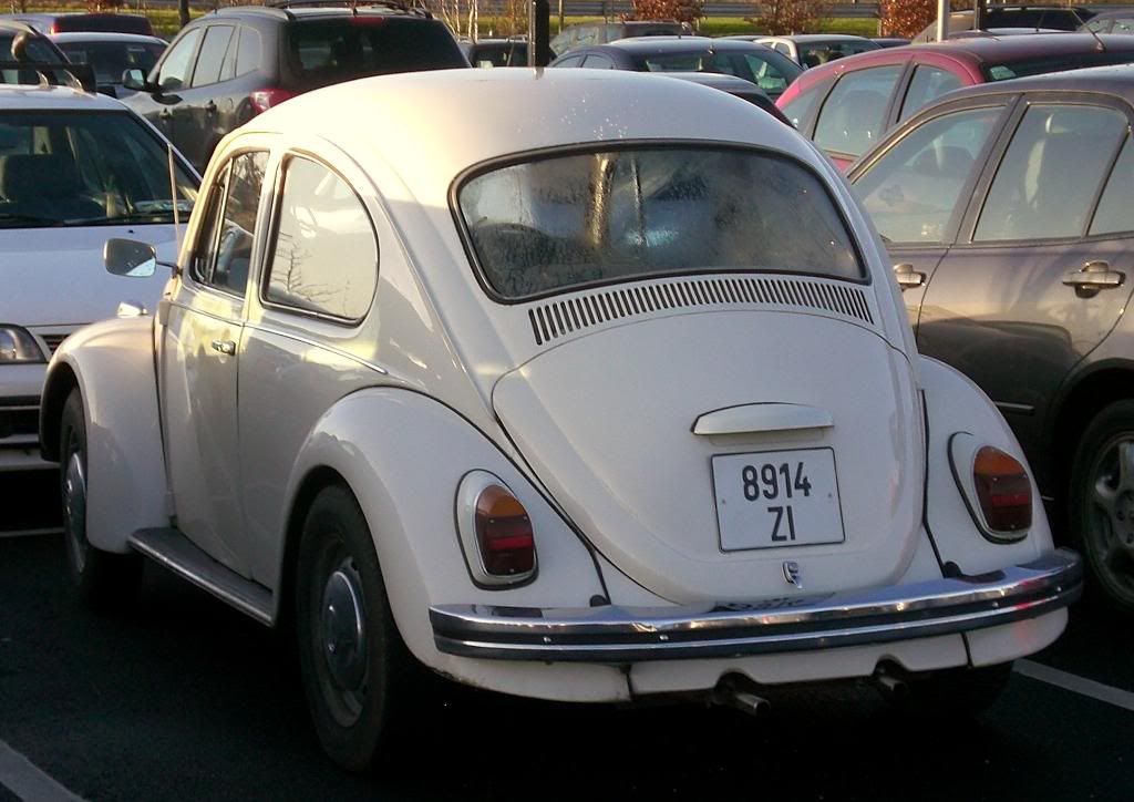 VWBeetle8914ZI.jpg