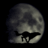 6309Wolf-running-with-the-moon.gif